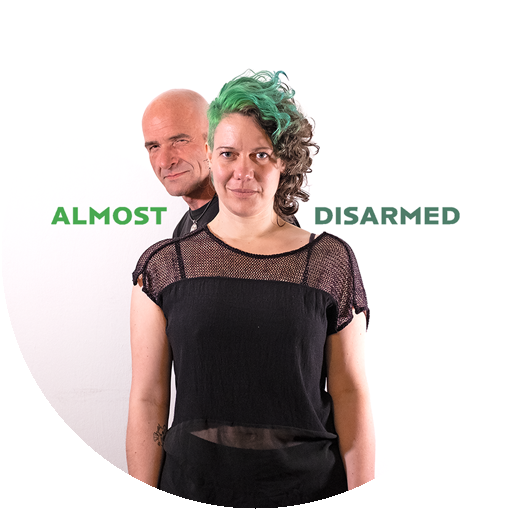 Almost Disarmed Bandartwork